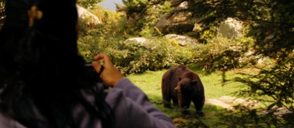 PlanVisit_DSC_5374bh908 Lady taking picture of bear