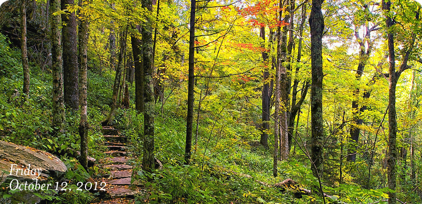 Profile Trail
