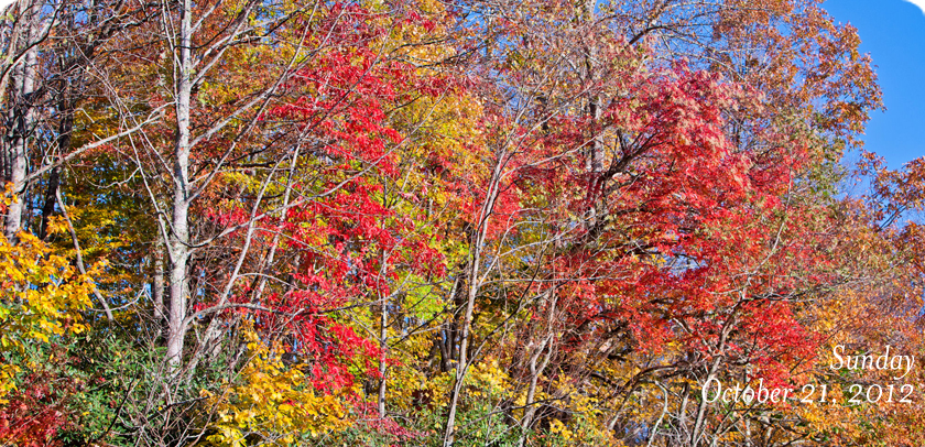 Near Price Lake