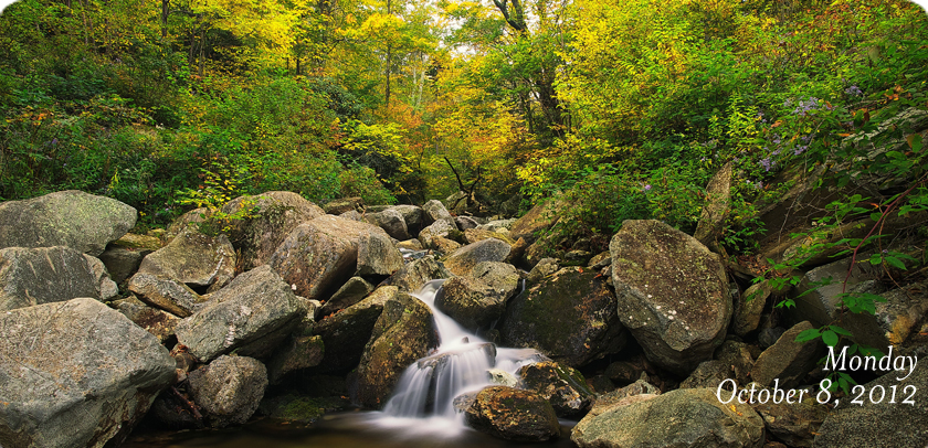 Wilson Creek