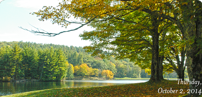 Bass Lake