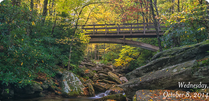 Boone Fork Trail