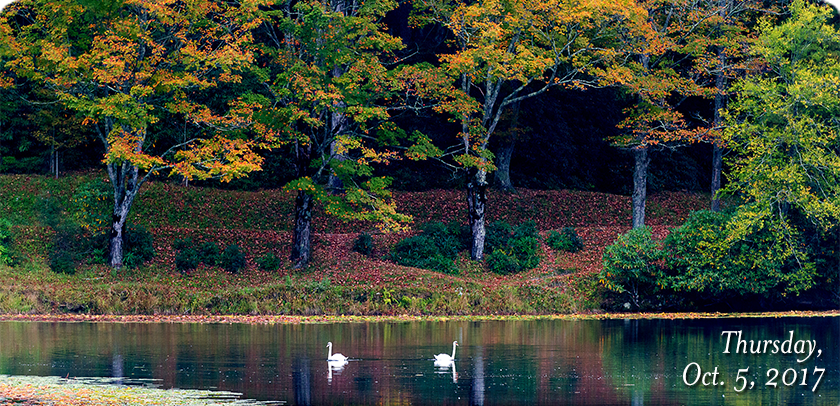 Bass Lake