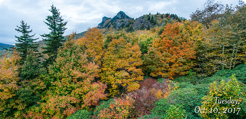 Half Moon Overlook