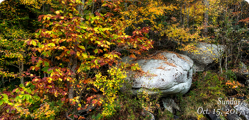 Parkway Boulder