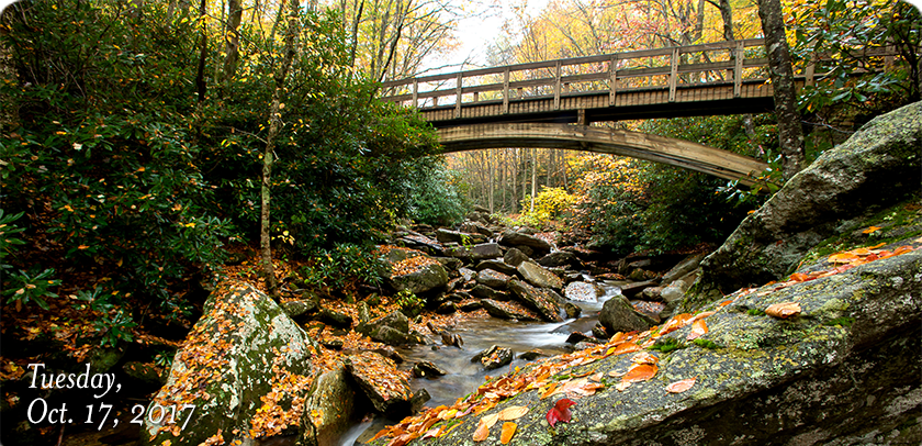 Boone Fork Creek