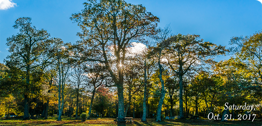 MacRae Meadows Picnic Area