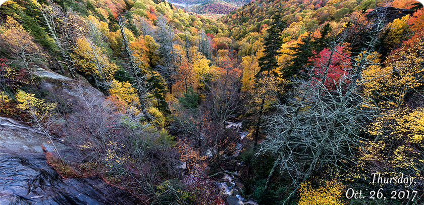 Stack Rock View