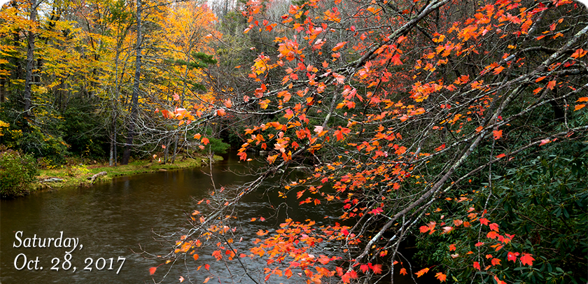 Linville River