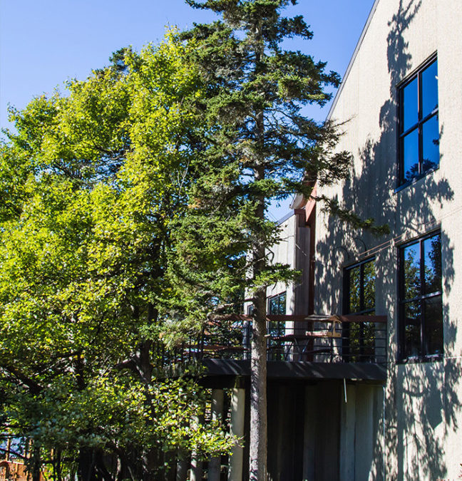 Dr. C. Herbert and Anne Magruder