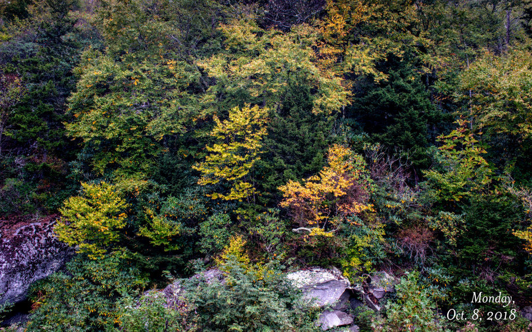 Stack Rock Creek
