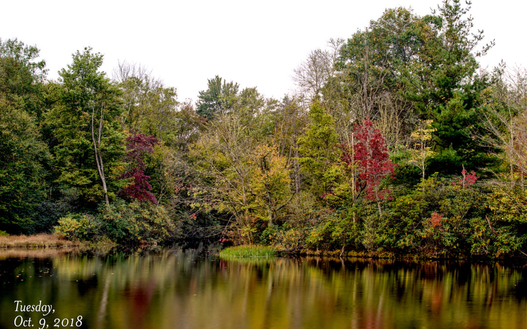 Price Lake