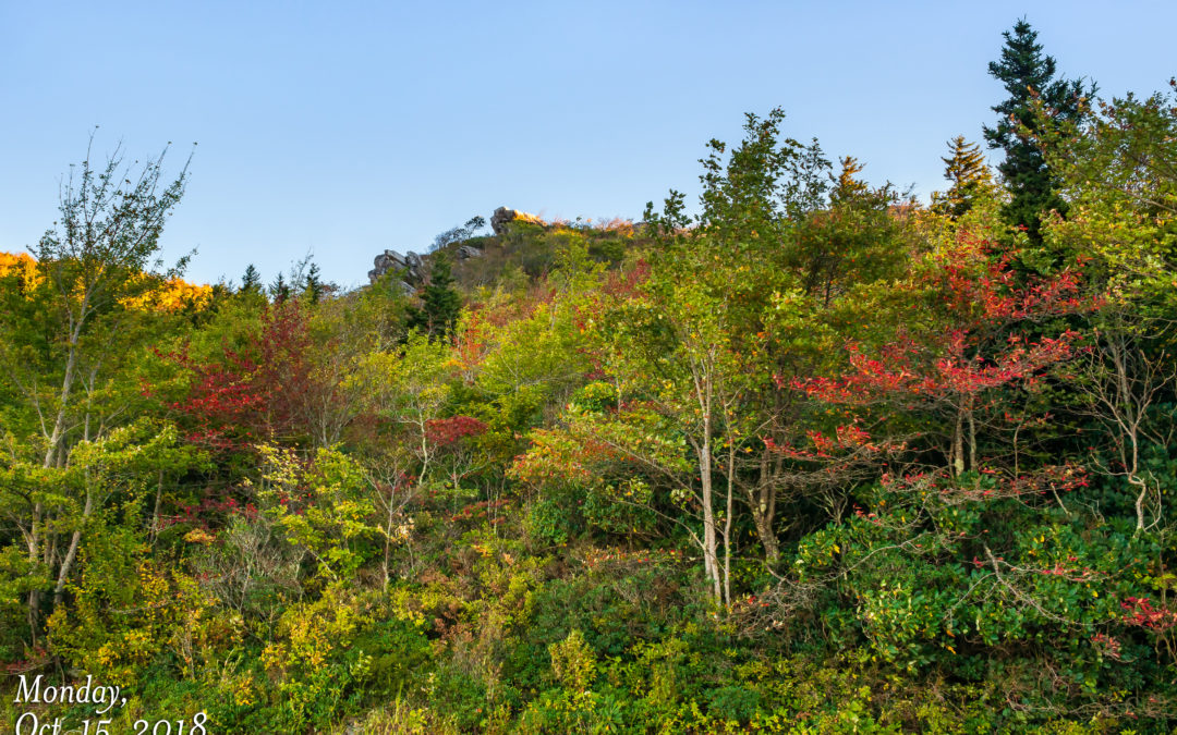 Rough Ridge