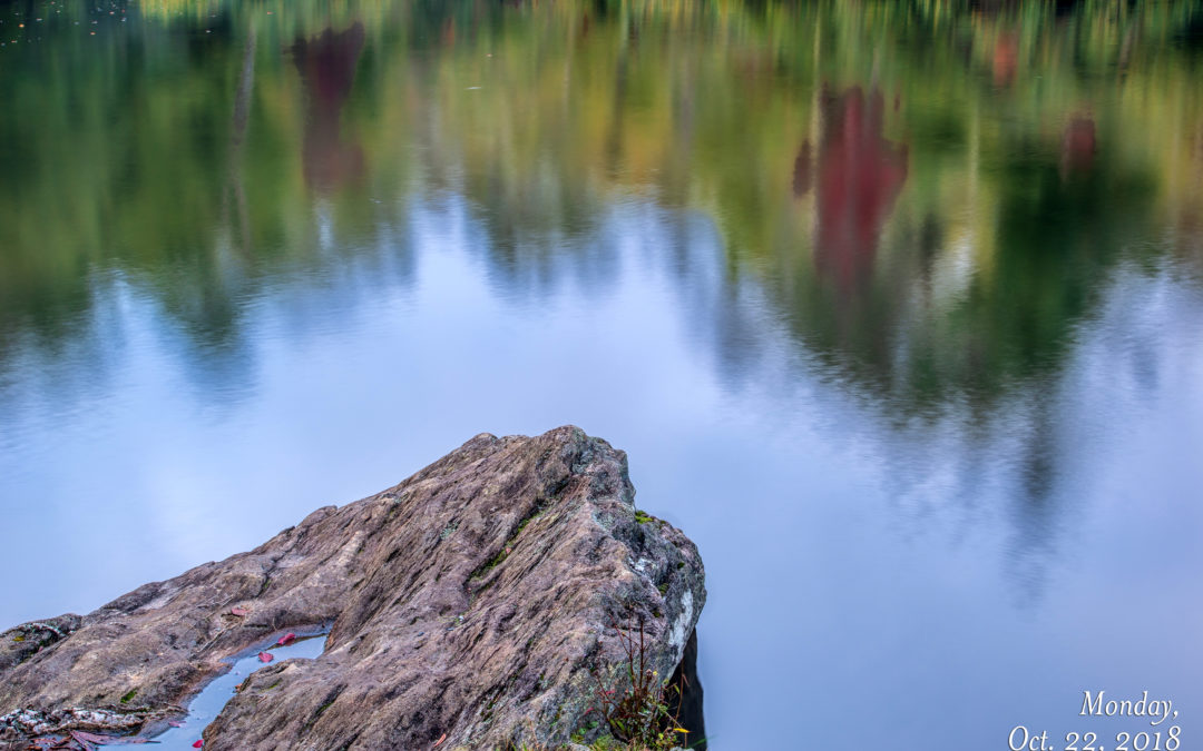 Reflections on Price Lake