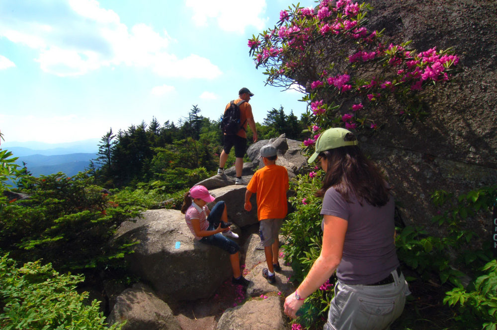 Walking Hiking Grandfather Mountain Wonders Never Cease