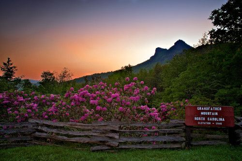 Grandfather Mountain Wonders Never Cease Towering Almost