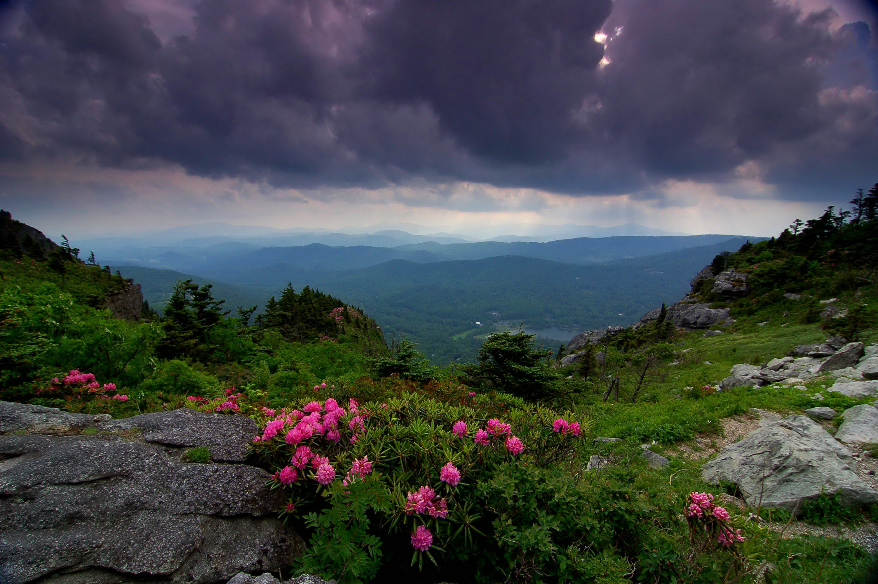 Plan Your Visit GRANDFATHER MOUNTAIN Wonders Never Cease