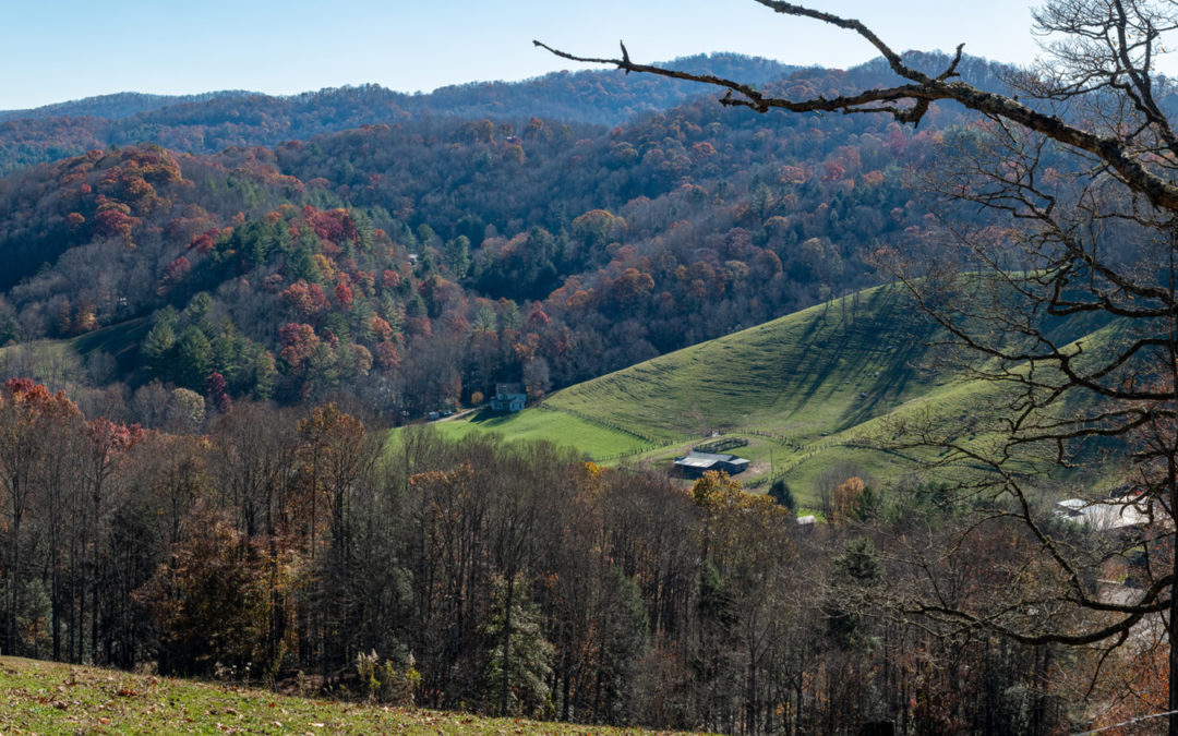Farewell to Fall