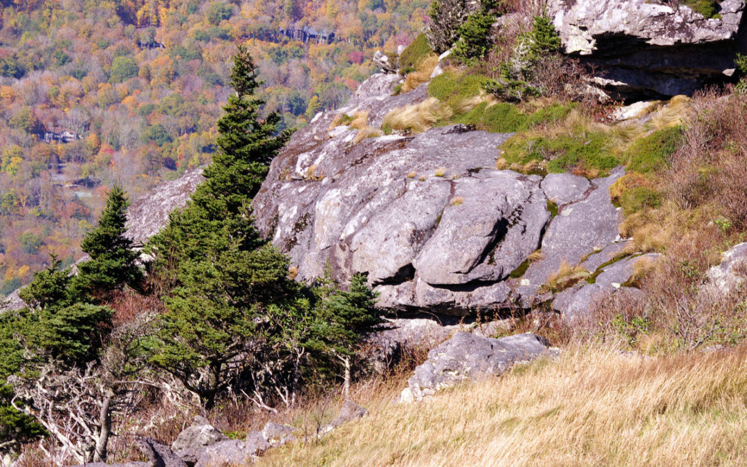 Bob and Betsy Gefaell