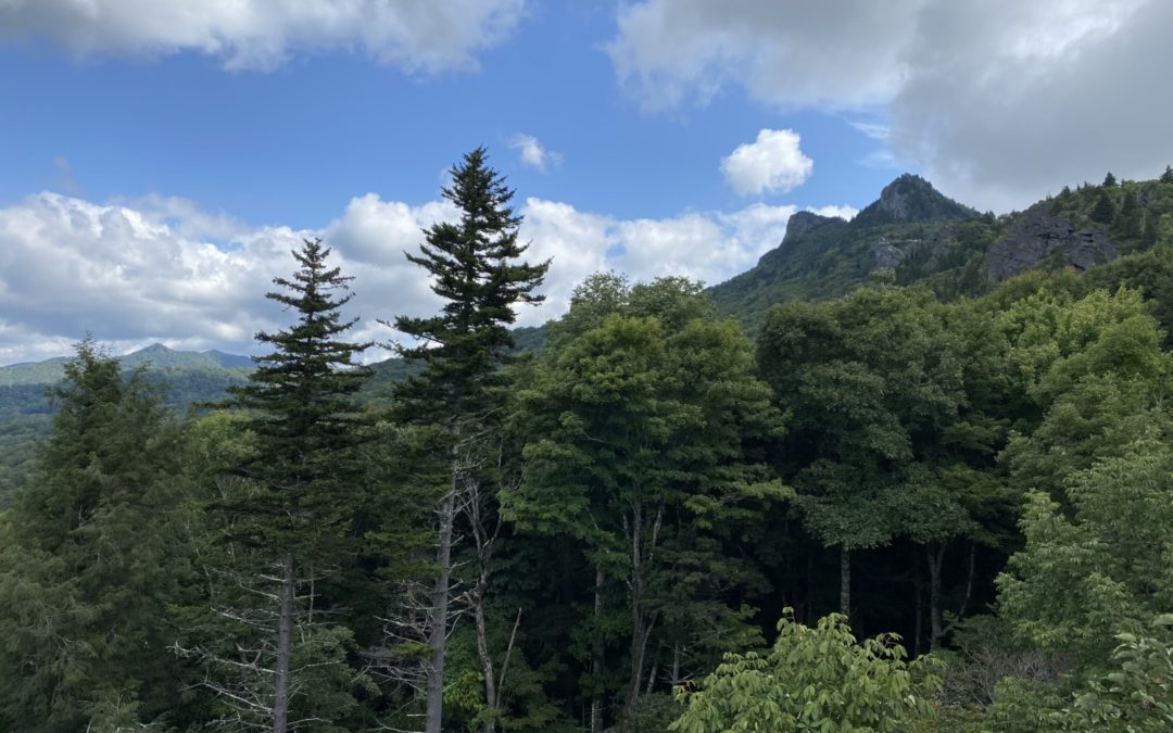 Monty and Brenda Combs