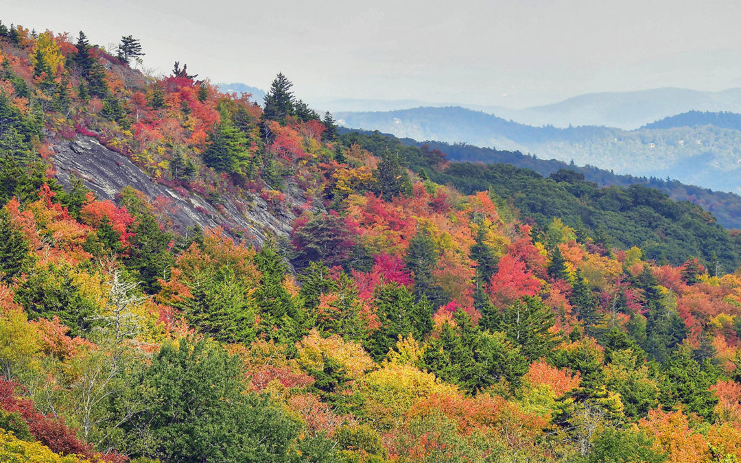 Insider Tips for Visiting Grandfather Mountain in the Fall