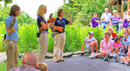 Grandfather Mtn Daily Programs