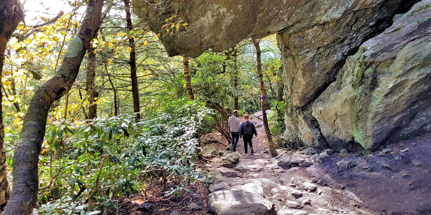 Bridge Trail - Grandfather Mountain