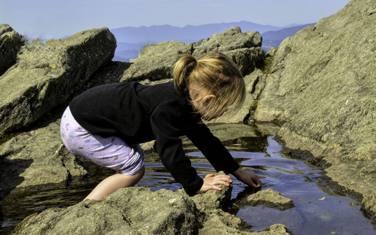 A child examining a puddle on top of Grandfather Mountain