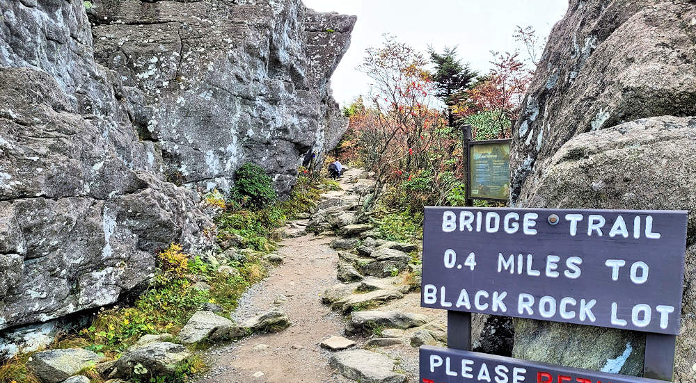 Bridge Trail, Grandfather Mountain