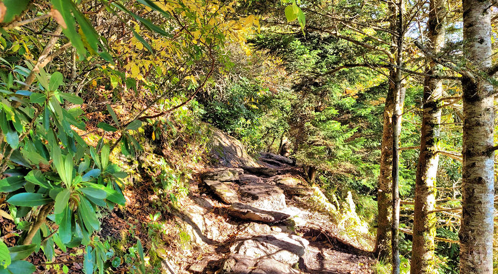 Bridge Trail Grandfather Mtn