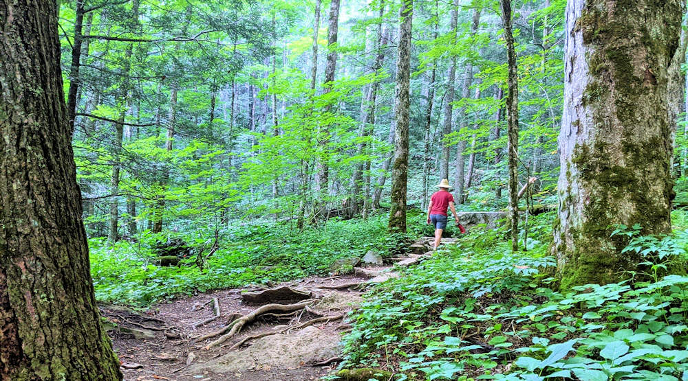 Profile Trail Grandfather Mountain