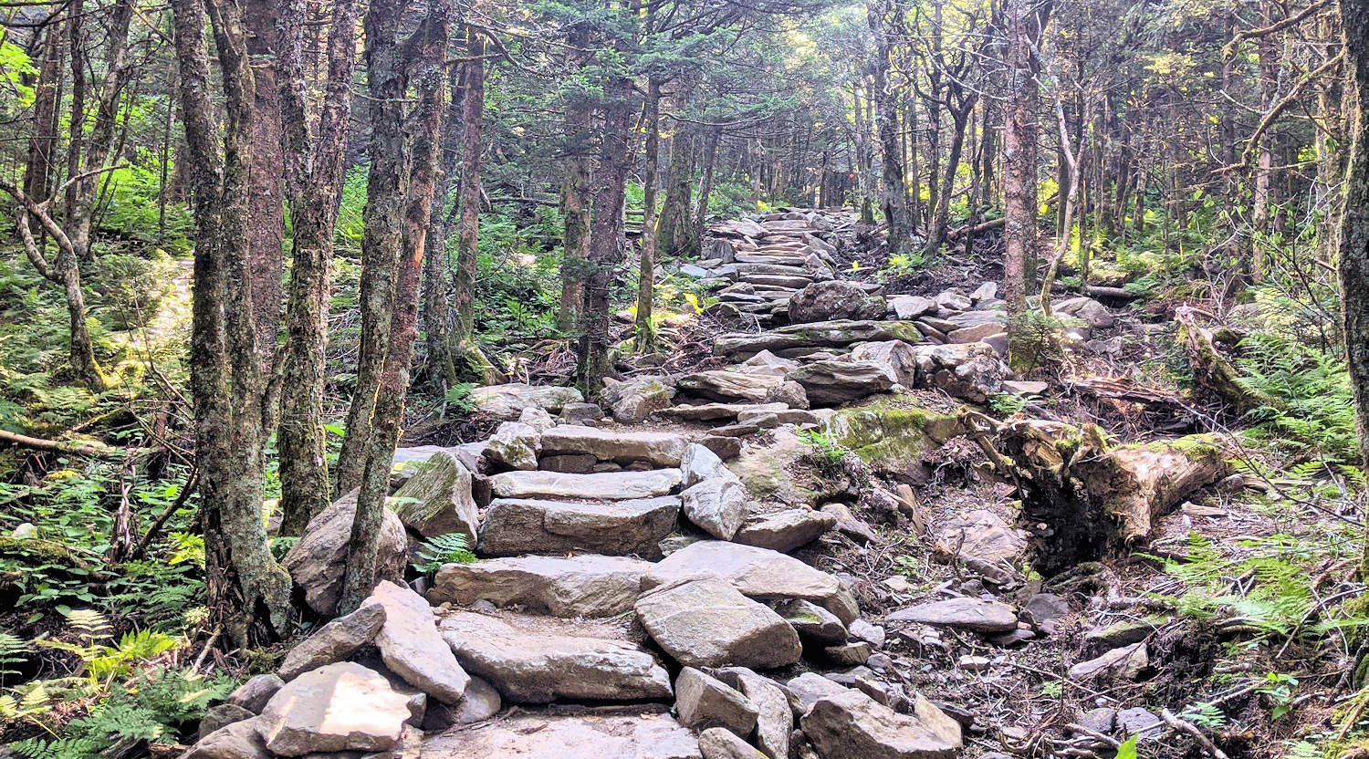 Profile Trail Grandfather Mountain