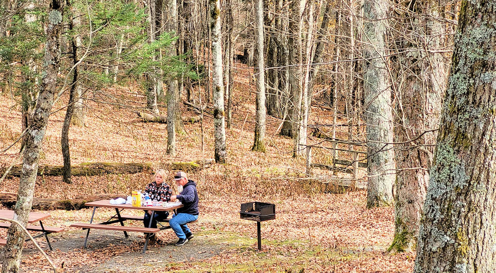 Woods Walk Picnic Area