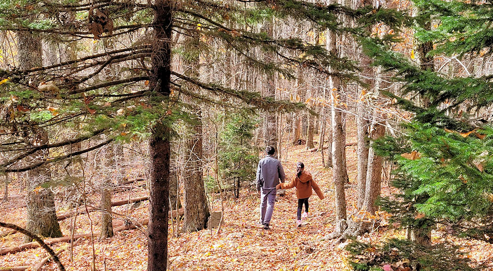 Hiking & Walking Trails - Grandfather Mountain