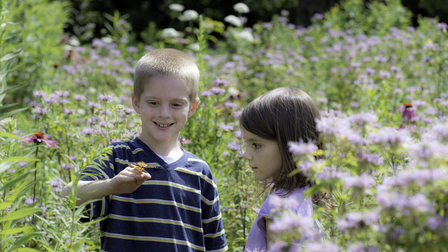 Children admiring a butterfly in the Grandfather Mountain Pollinator Garden