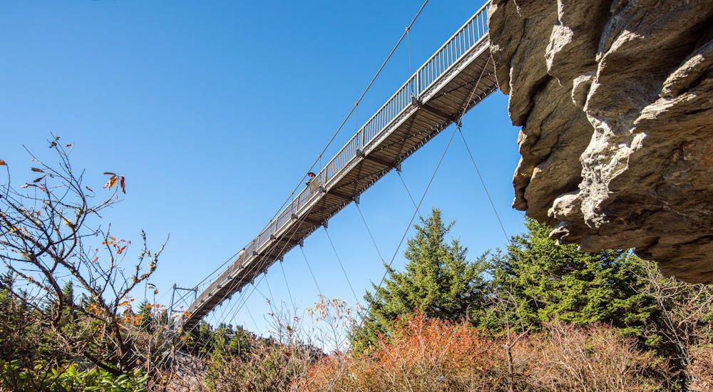 Bridge Trail