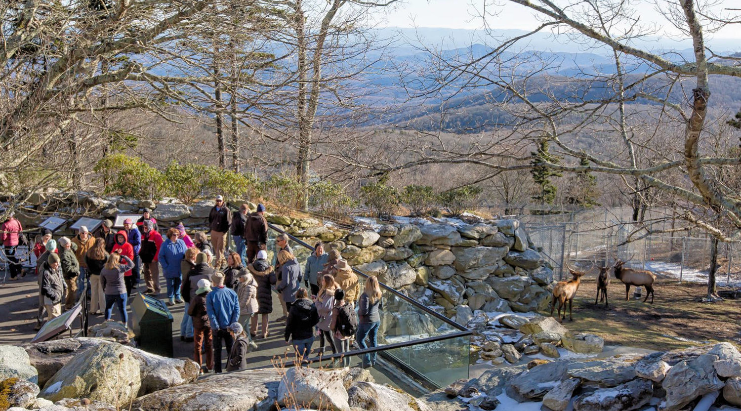 Group Tours Grandfather