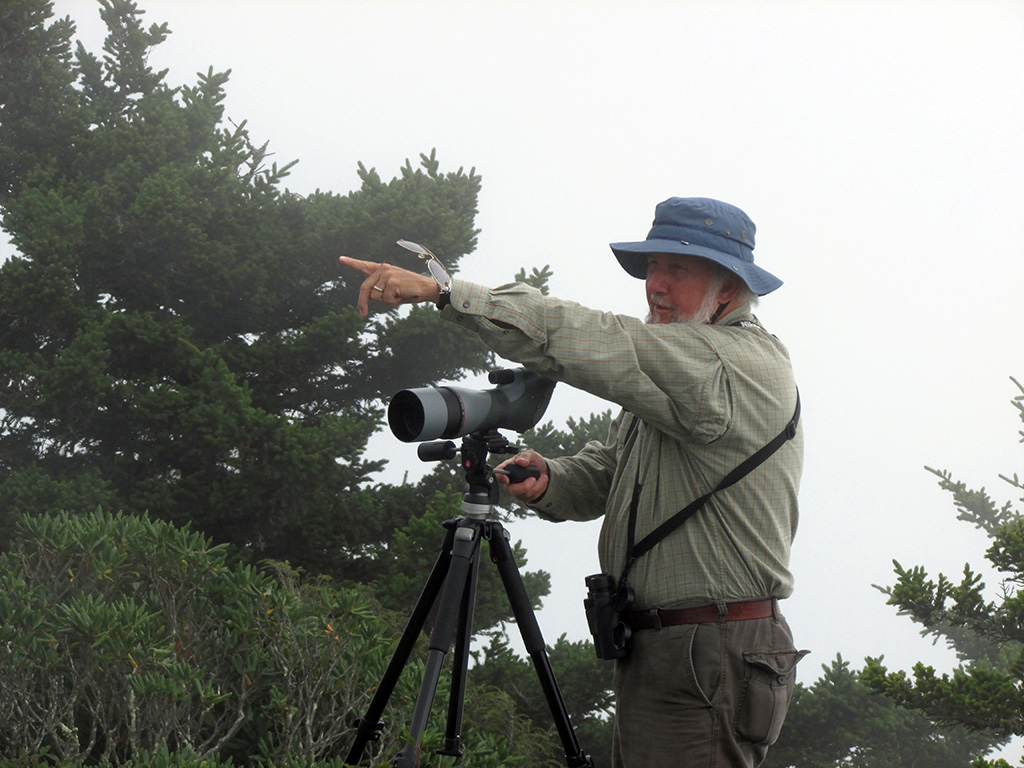 Hawk Watch Counter on Grandfather Mountain A Hawk Watch counter spotting hawks at Grandfather Mountain