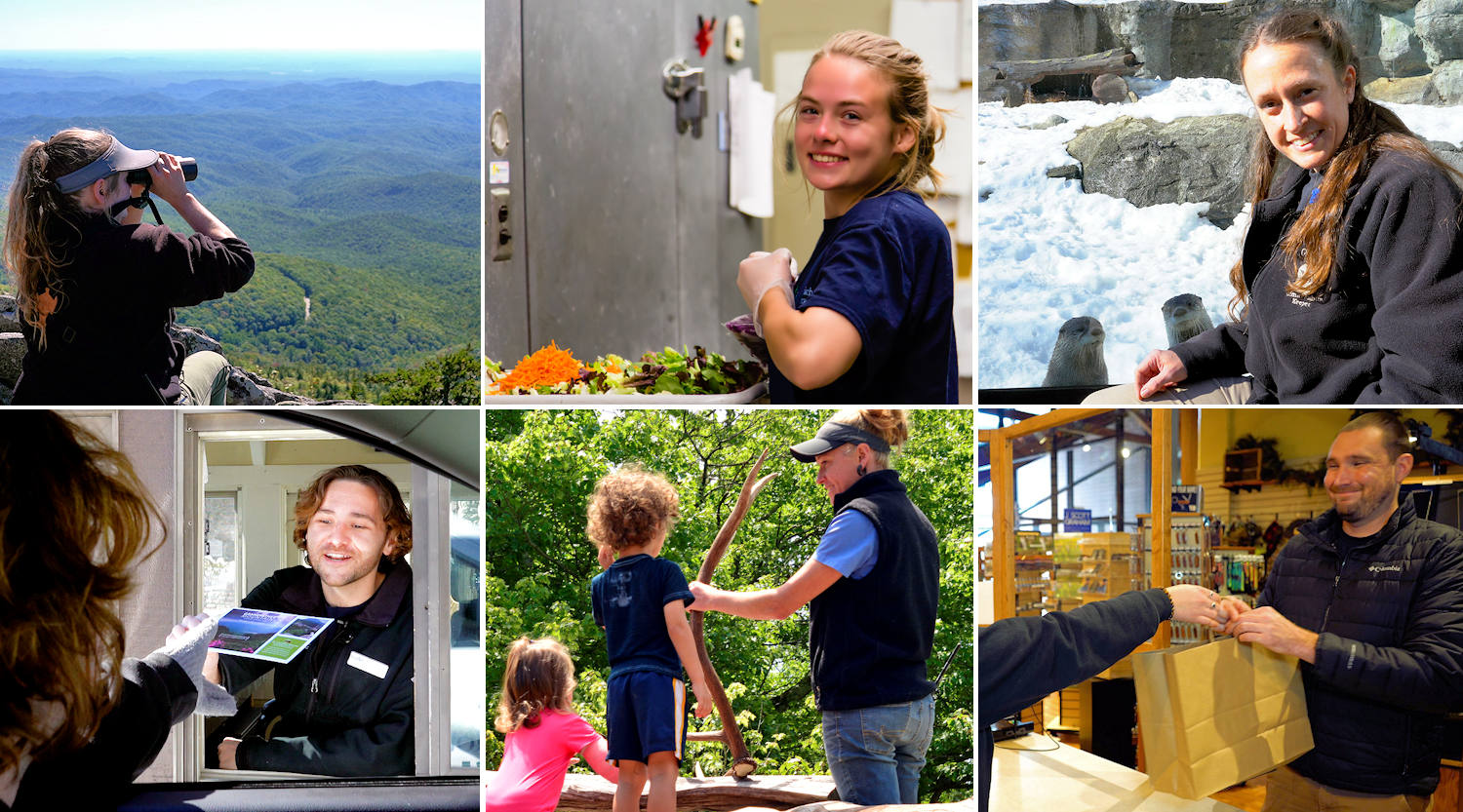 Jobs at Grandfather Mountain