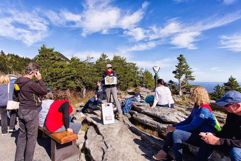 Daily Programs at Grandfather Mountain