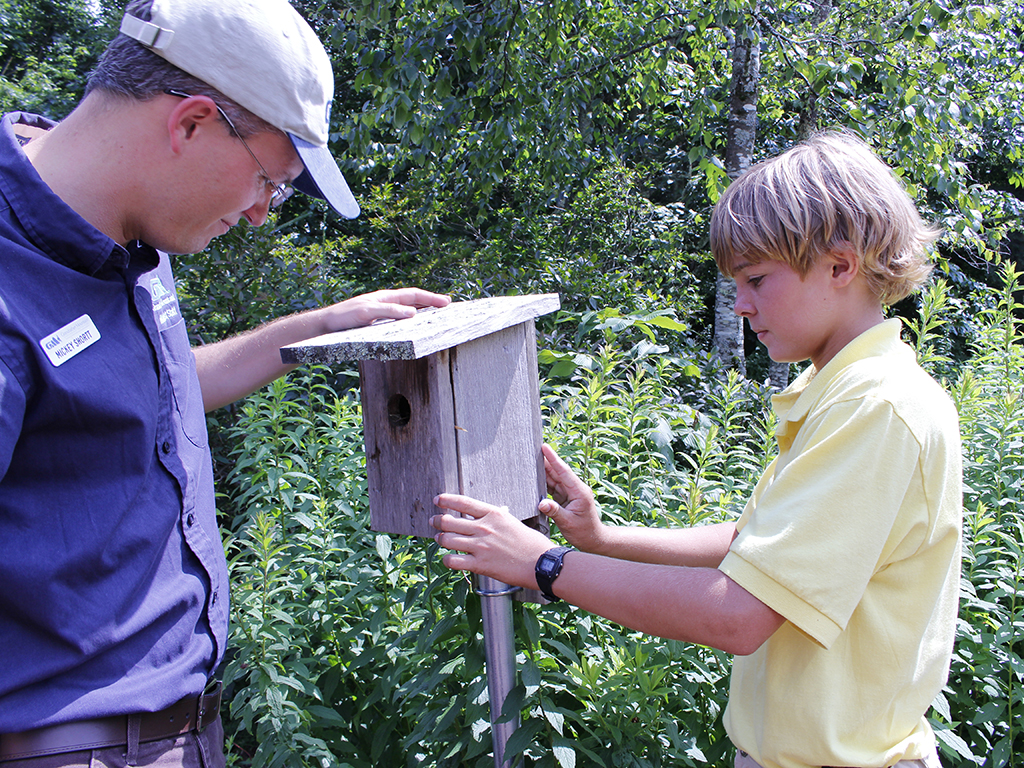 Young Grandfather Mountain Volunteer A young Grandfather Mountain volunteer participating assisting with a staff project.