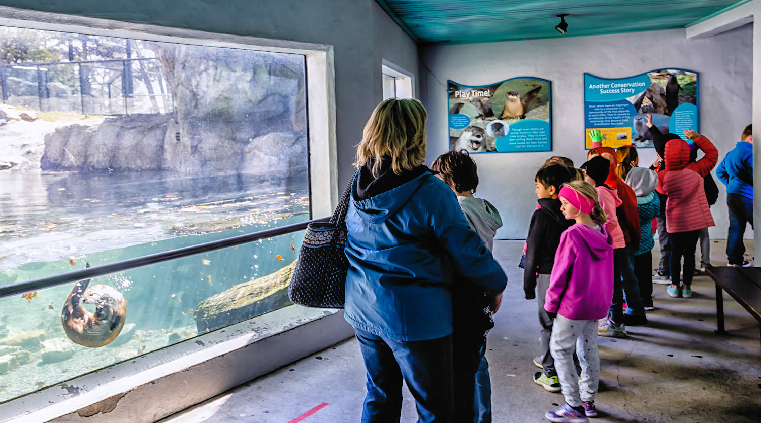 School Groups at Grandfather Mountain