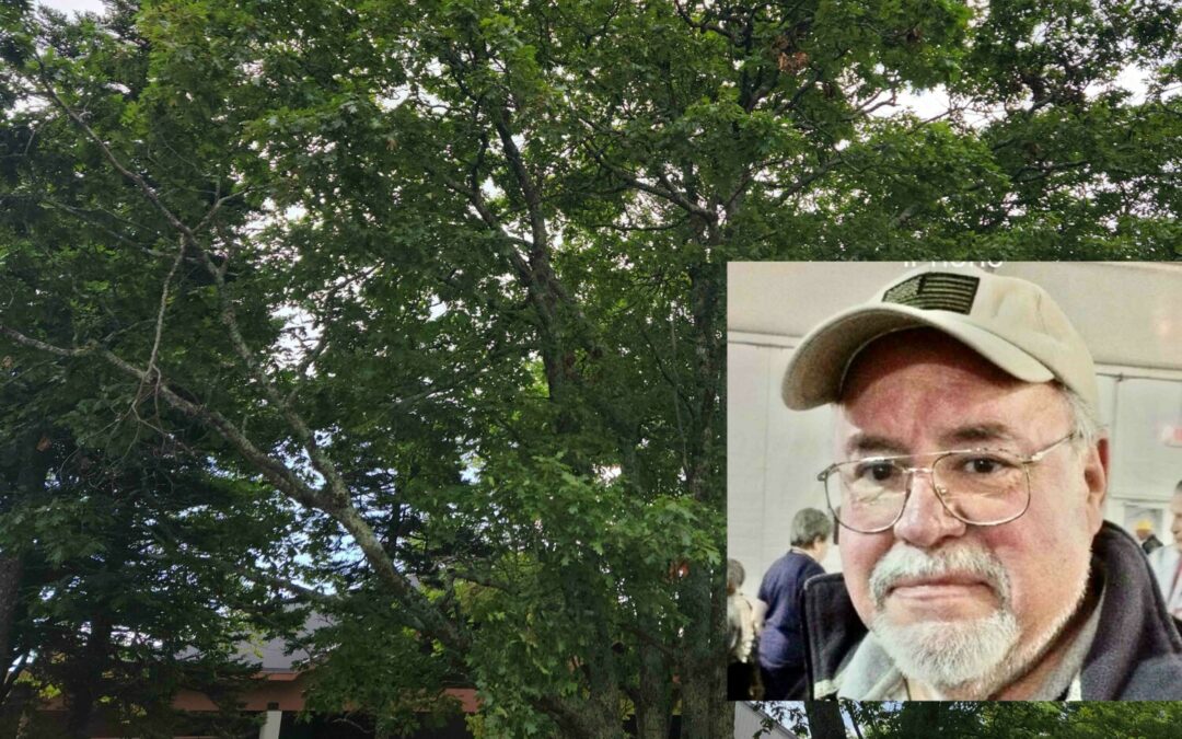 Given in loving memory of Steve Gaines by his admiring friends