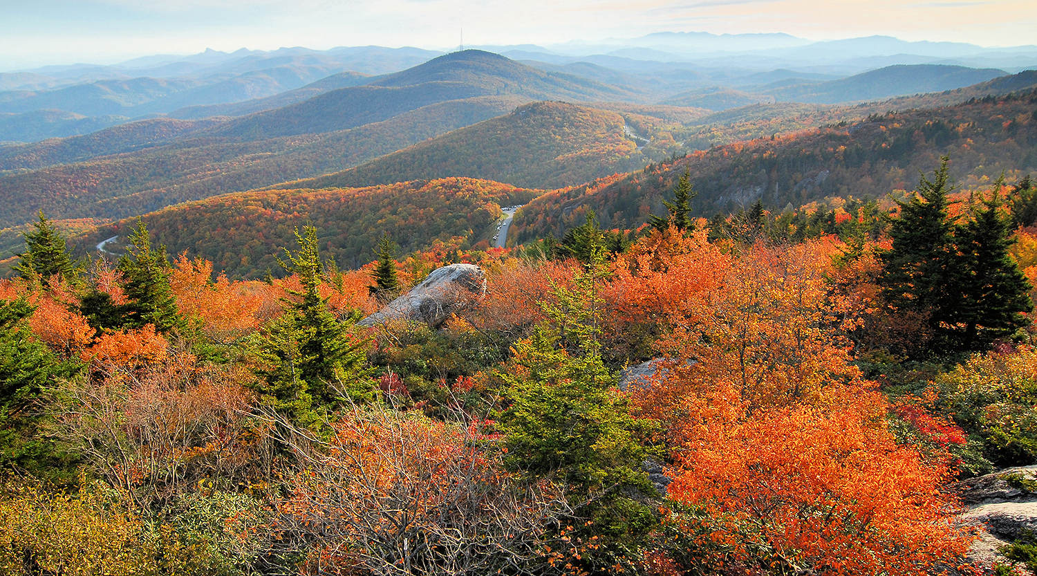 Fall Color Black Rock