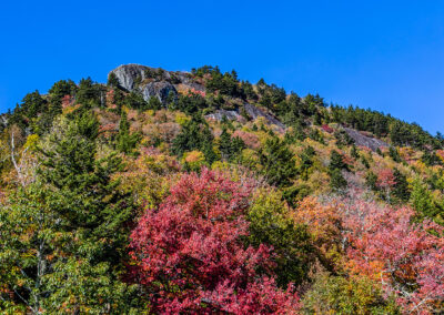 Looking Up at Linville Peak