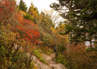 Bridge Trail