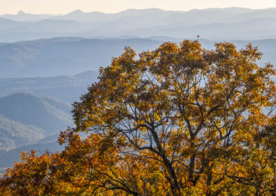 Blowing Rock