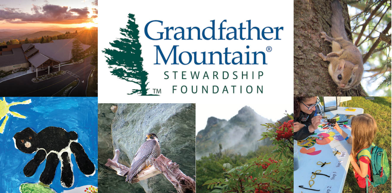 donate-foundation Donate to Grandfather Mountain Stewardship Foundation