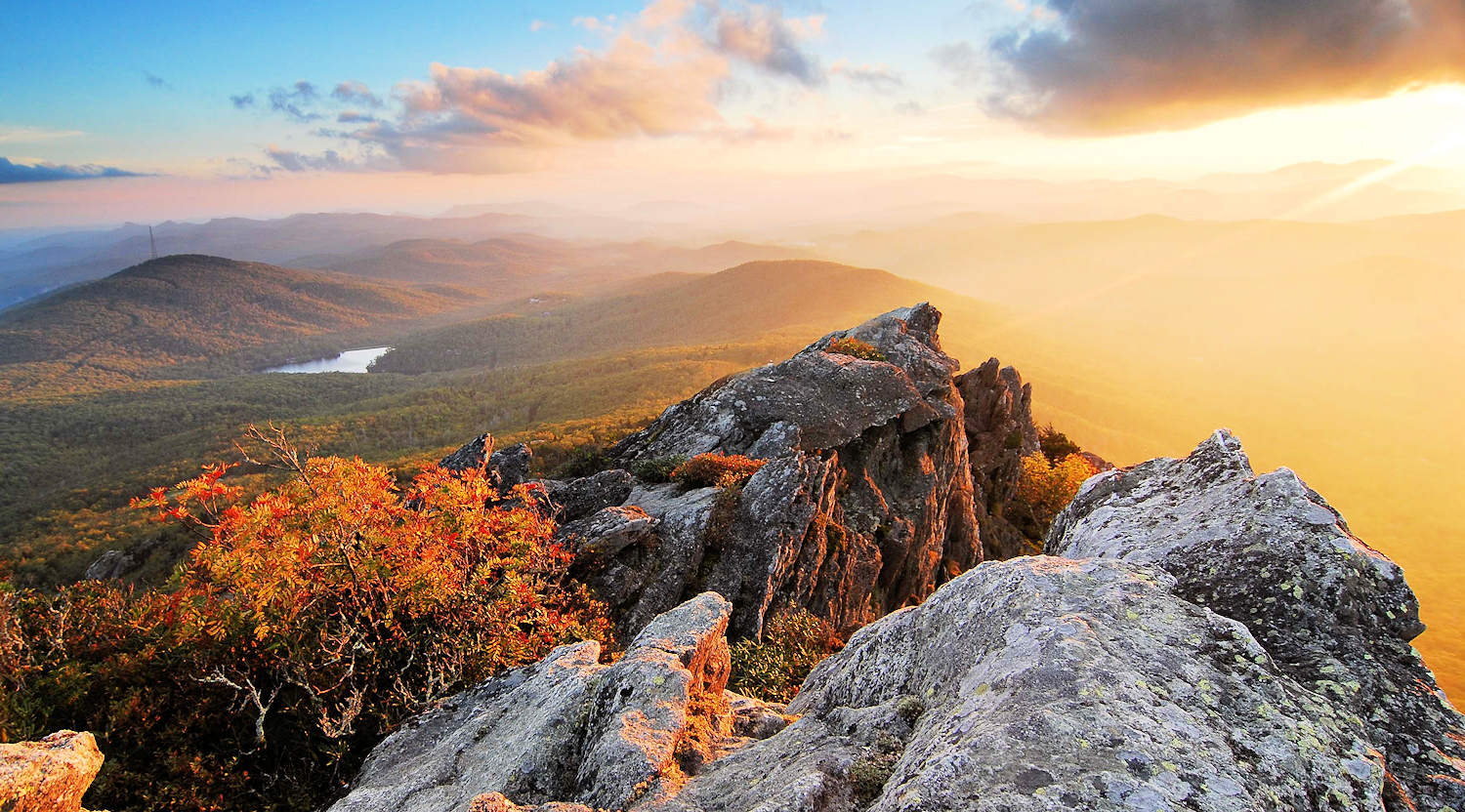 Conservation at Grandfather Mtn