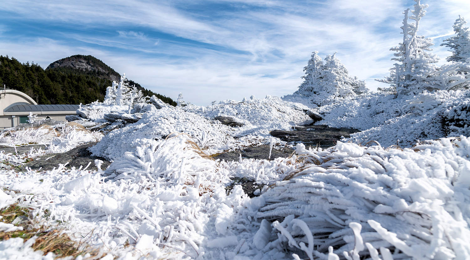 Rime Ice Grandfather